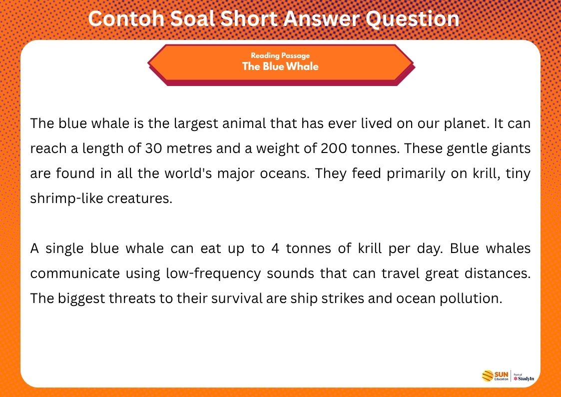 Contoh soal short answer qeustion IELTS